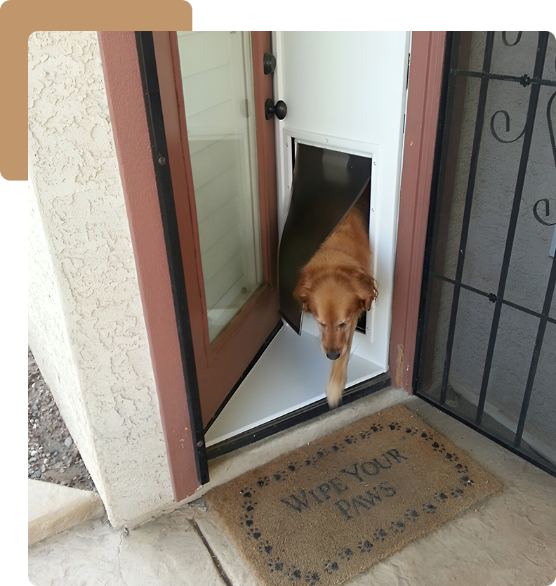 Temporary Pet Doors In Or Out Pet Products