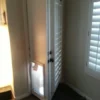 In Or Out Pet Products