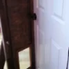 In Or Out Pet Products